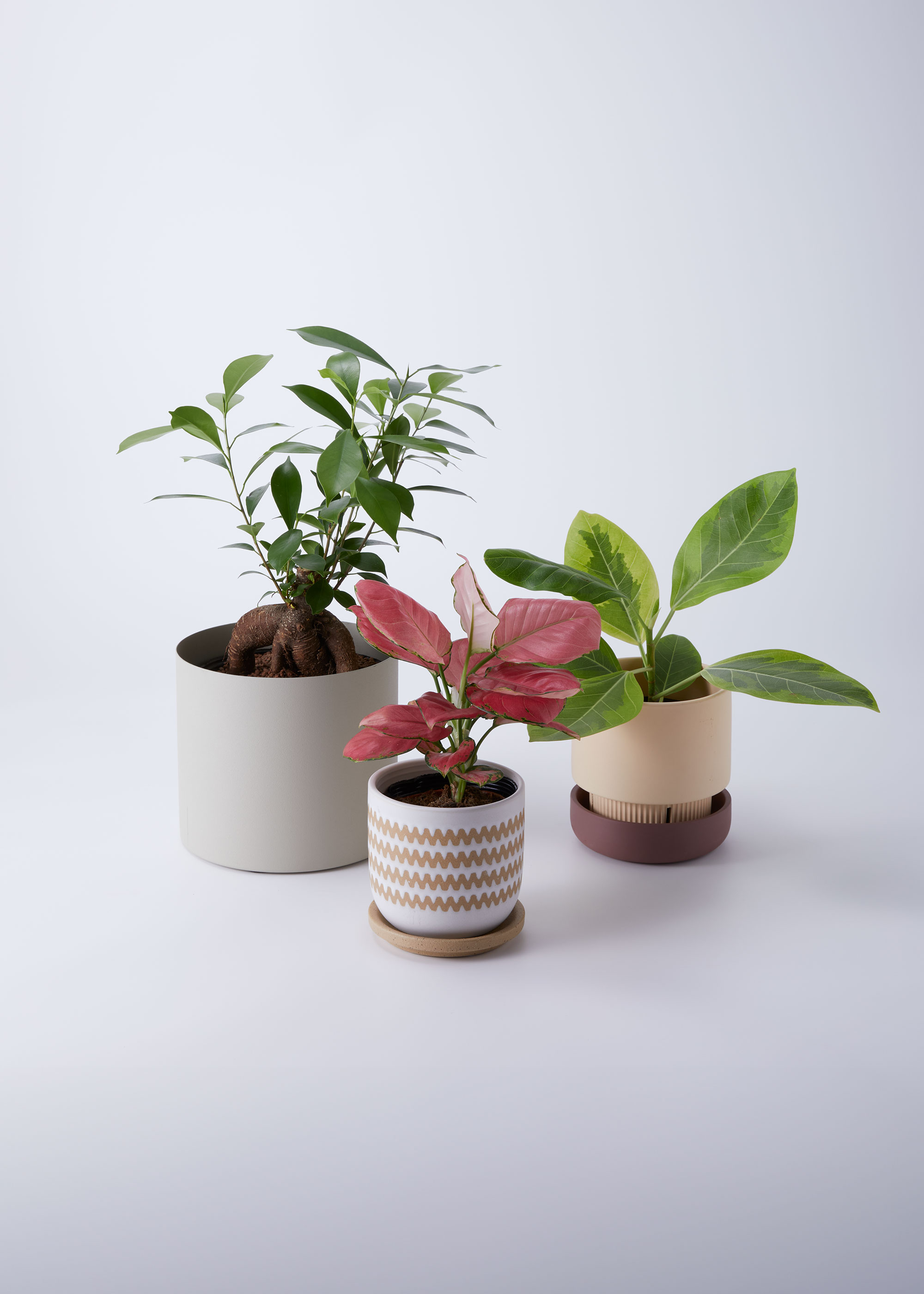 ドゥアルシーヴ