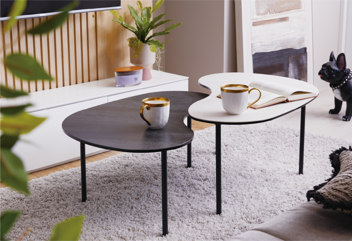 〈L-DUE〉ローテーブル