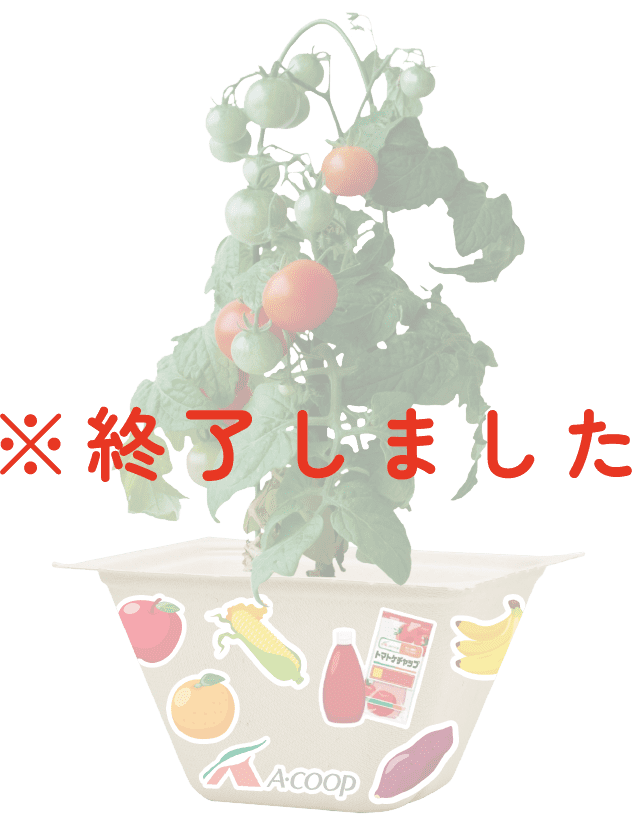 Aコープ