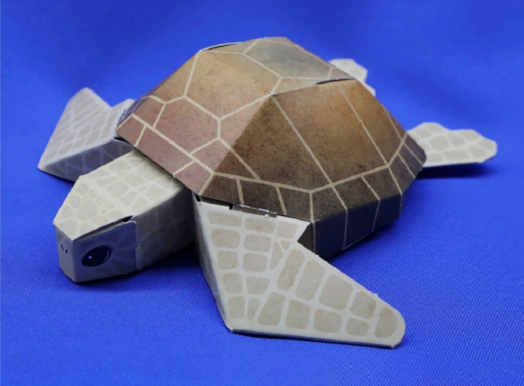 「ウミガメ」のペーパークラフトを作ってみよう！